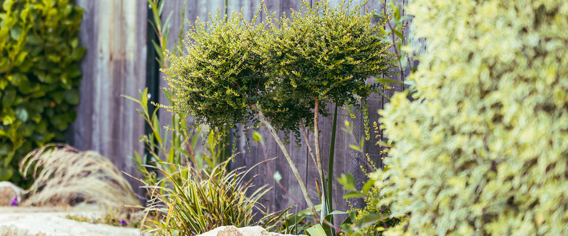 Jardin d'Ambiance à Pleslin Trigavou