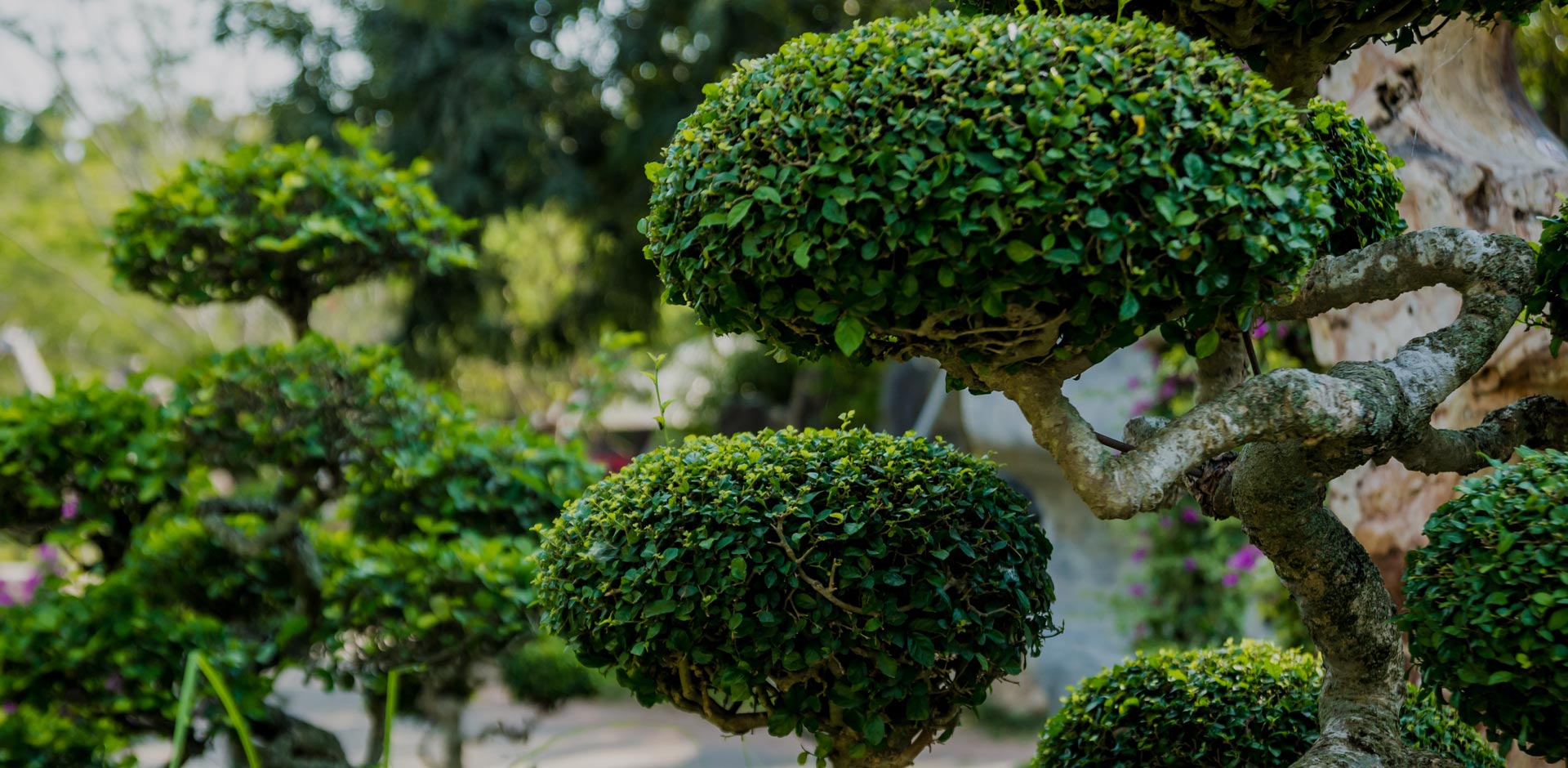 Jardin d'Ambiance à Pleslin Trigavou